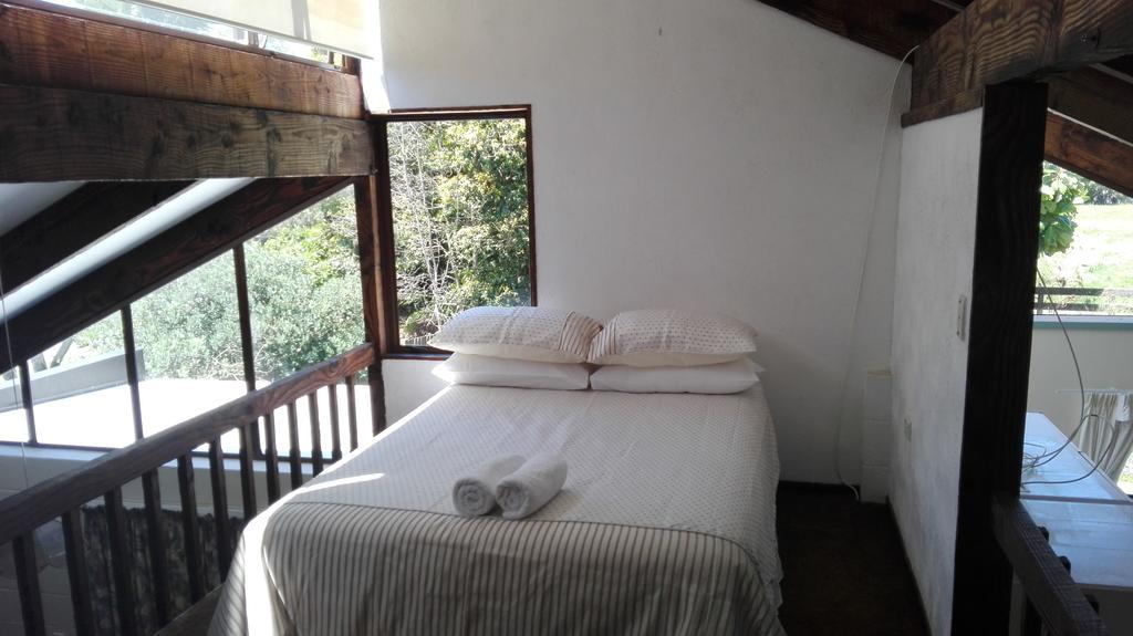 Waters Edge B&B Каитаиа Номер фото